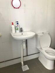 Blk 230 Tampines Street 24 (Tampines), HDB 5 Rooms #534511971